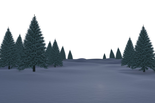 雪地中的冷杉树