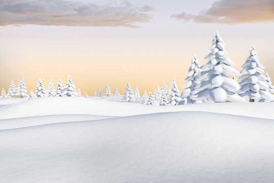 雪景觀和冷杉樹