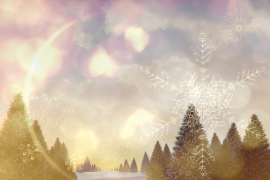 雪景觀和冷杉樹