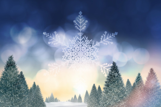 雪景觀和冷杉樹