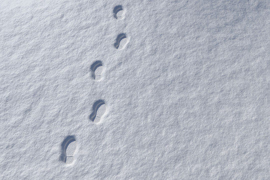 雪地中的脚印