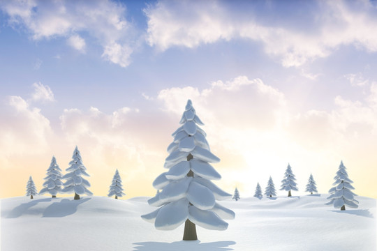雪景觀和冷杉樹