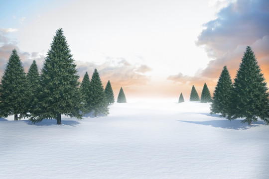 雪景观和冷杉树