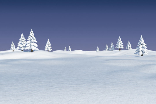 雪景觀和冷杉樹
