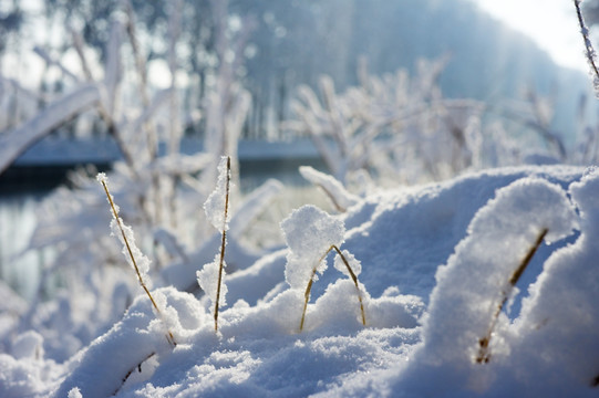 冬天雪景