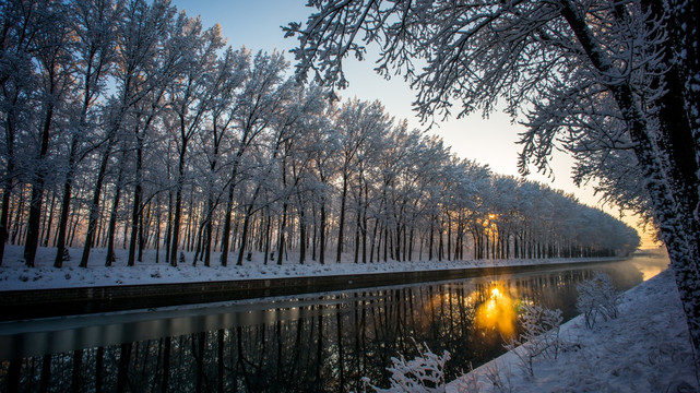 冬季雪景