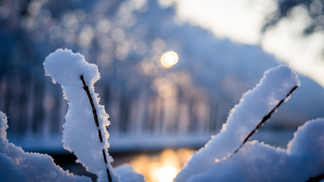 冬季雪景