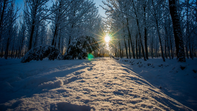 冬季雪景