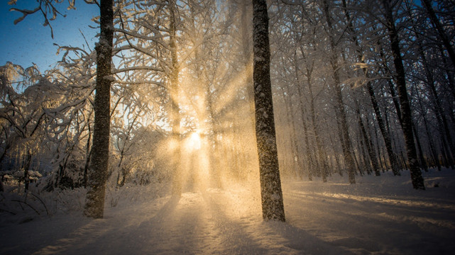 冬季雪景