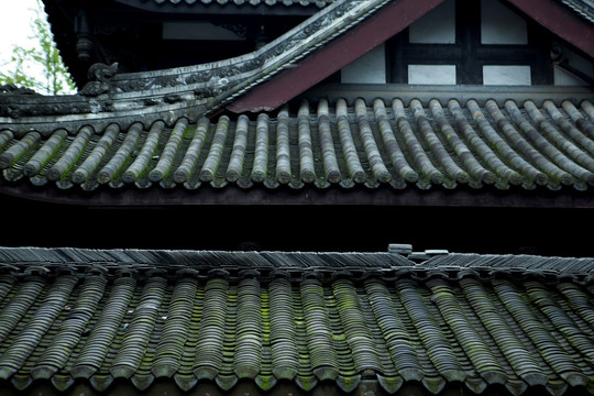 传统建筑 庭院