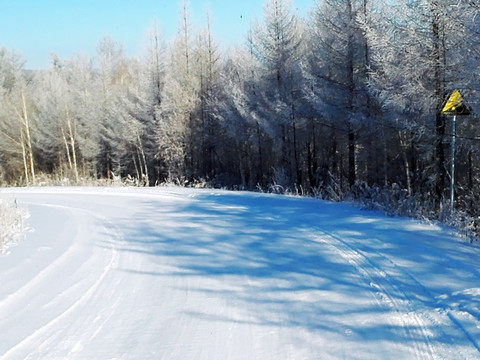 冬季森林道路