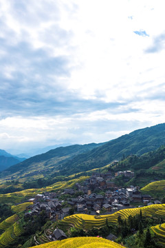 龙脊梯田