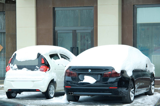 车背上的雪