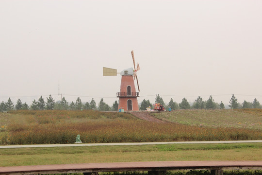 風景 植物 公園