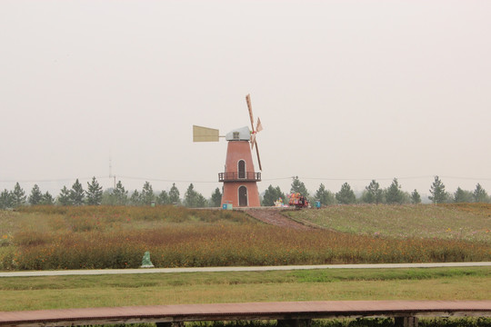 风景 植物 公园