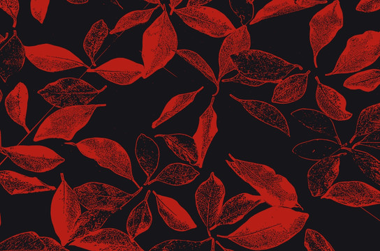 布料印花