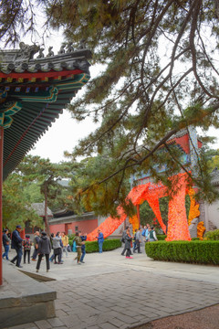 北京香山秋景