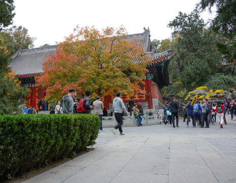 北京香山观光游客