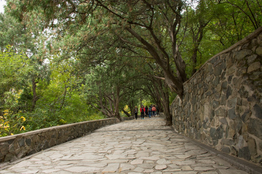 北京香山石板路