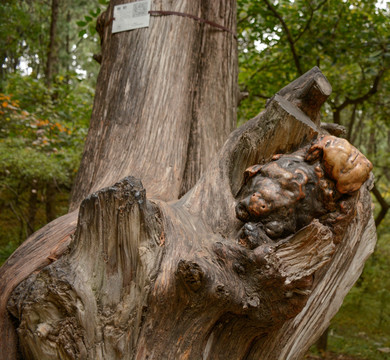 老树干雕塑