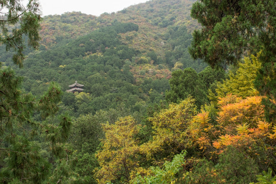 秋季山林