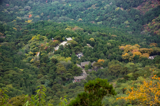 北京香山风景