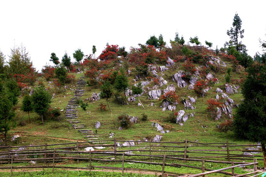 千野草场 秋景