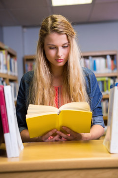 漂亮的学生在大学的图书馆里学习