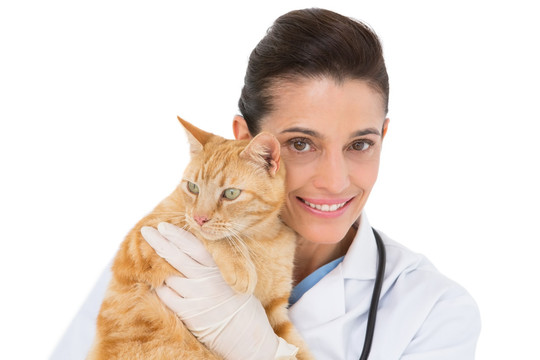 微笑着抱着小猫的兽医