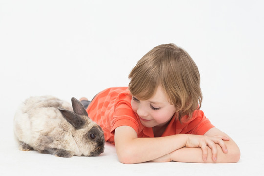 可爱的男孩趴在地上看着兔子