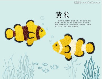 黃米