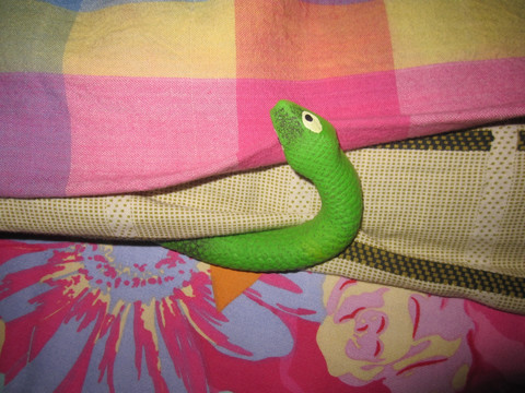 爬到床上的青蛇