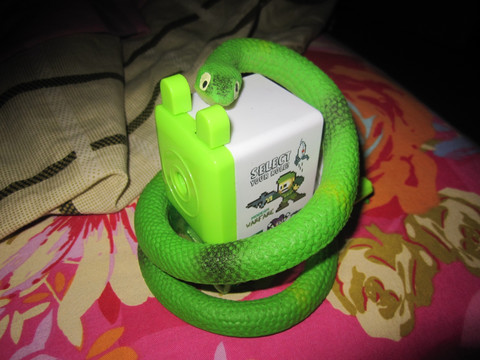 铅笔盒上的绿蛇