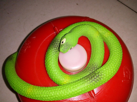 盘卧在暖壶上的青蛇