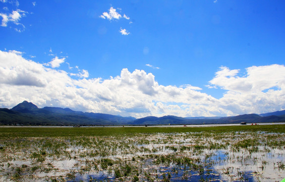 丽江拉海市湖泊