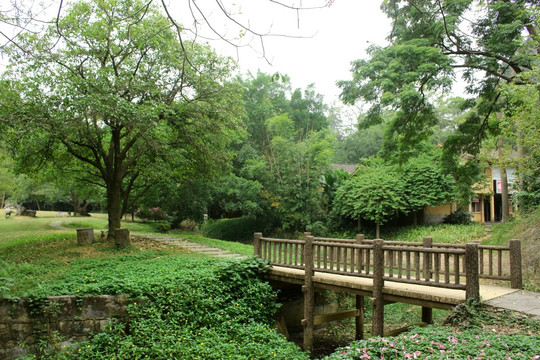 小桥风景