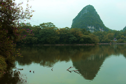 秋天的风景