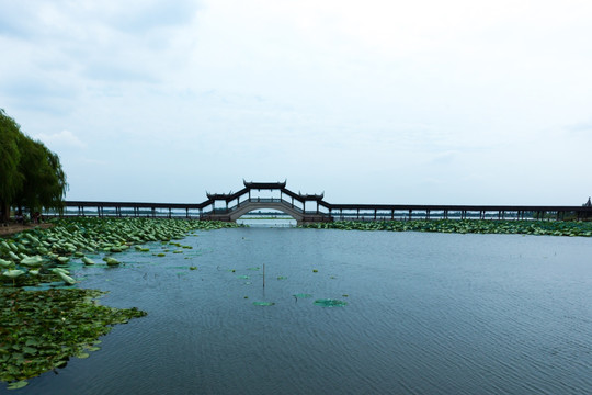 锦溪风景