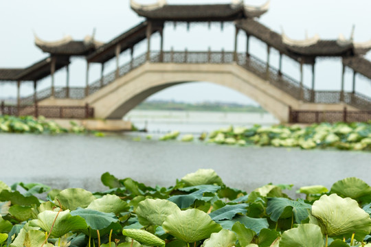 锦溪莲池禅院