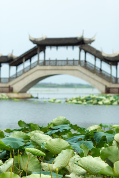 锦溪风景