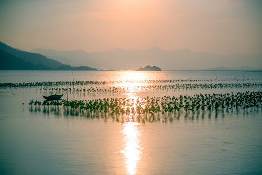 日落海滩