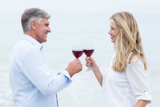 拿着红酒在海边干杯的夫妇