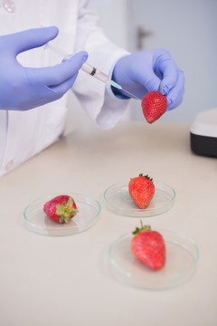 科学家给草莓注射