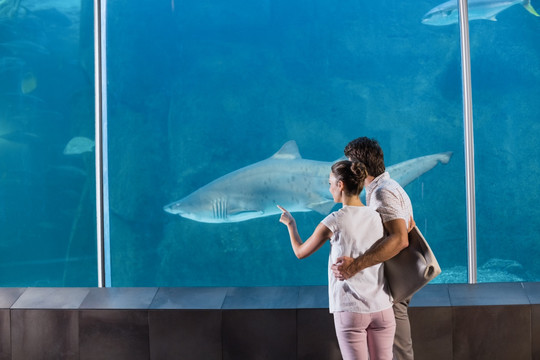 在水族馆看鱼的男女