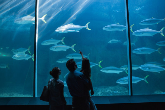 在水族馆看鱼的一家人