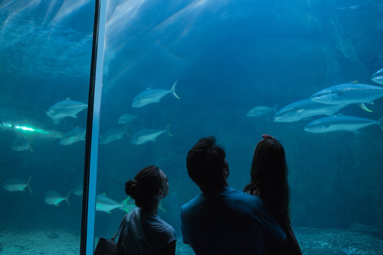 在水族馆看鱼的一家人