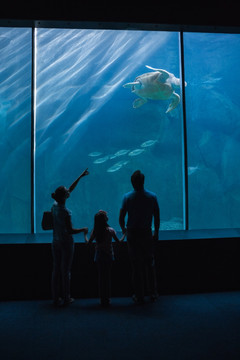 在水族馆看鱼的一家人