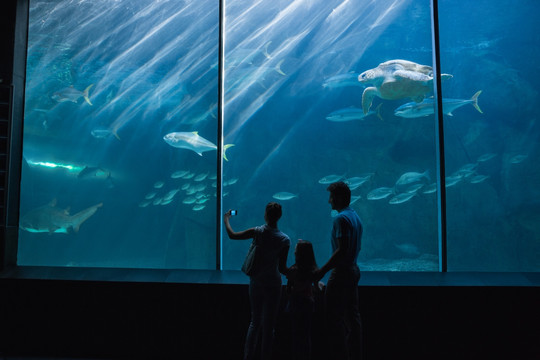 在水族馆看鱼的一家人