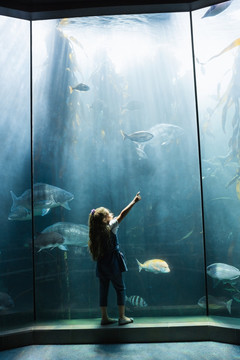 小女孩看着水族馆里的企鹅