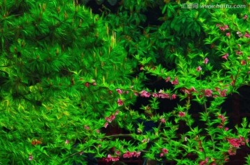 花